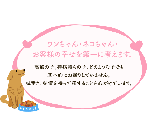 ワンちゃん・ネコちゃん・お客様の幸せを第一に考えます。高齢の子、持病持ちの子、どのような子でも基本的にお断りしていません。誠実さ、愛情を持って接することを心がけています。